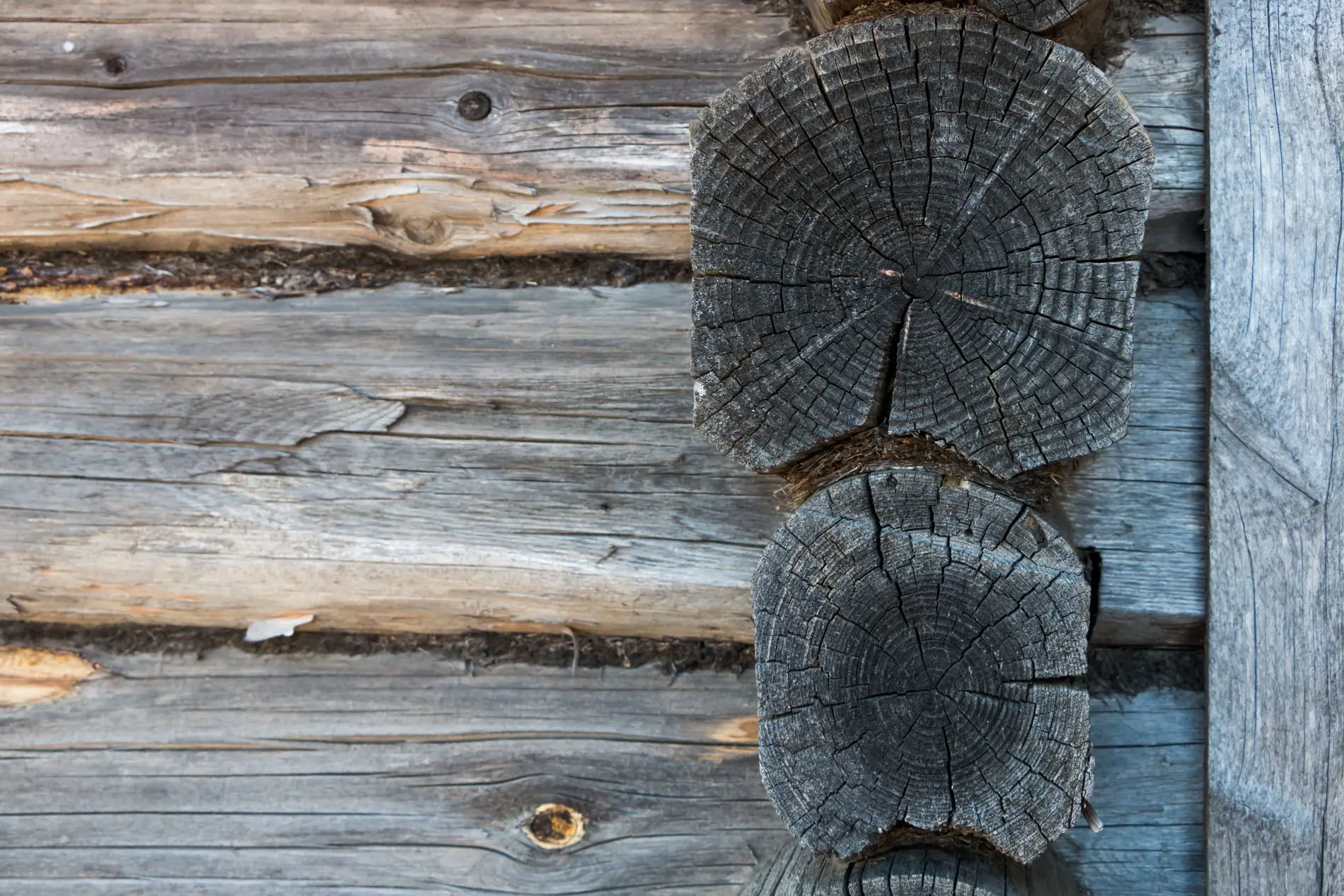 Log rot repair and inspection services