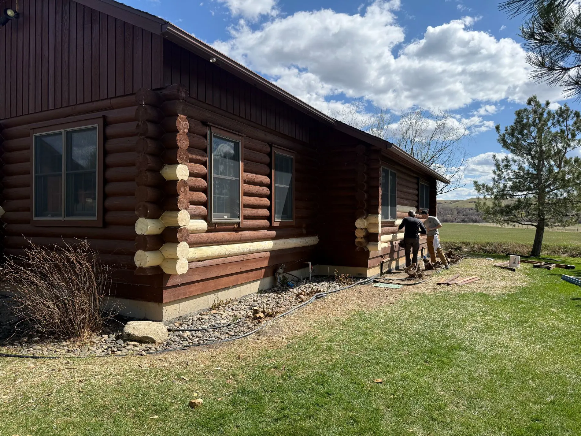 Log rot repair and inspection